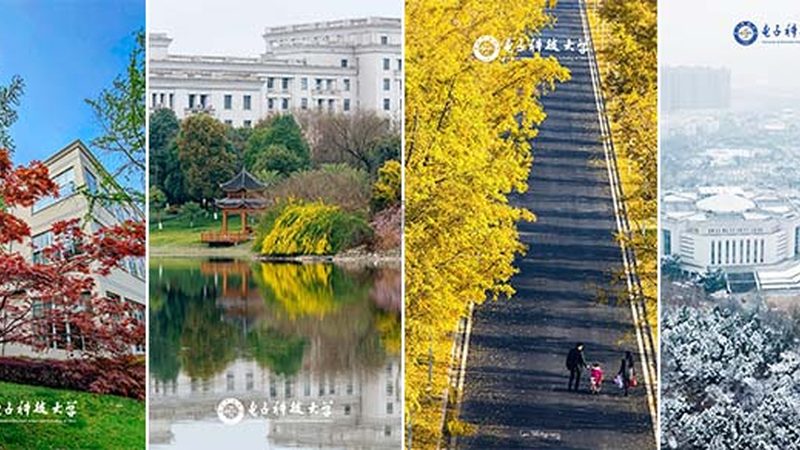 家用电器批发价格揭秘：如何洞察市场脉搏