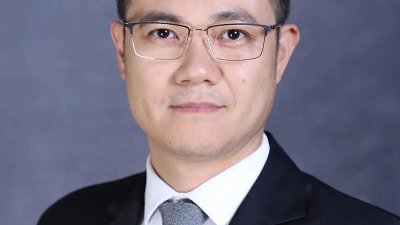 揭秘热敏电阻压敏电阻：如何挑选十大品牌**