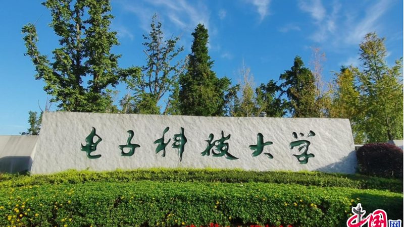 内存芯片颗粒等级：揭秘其背后的技术秘密